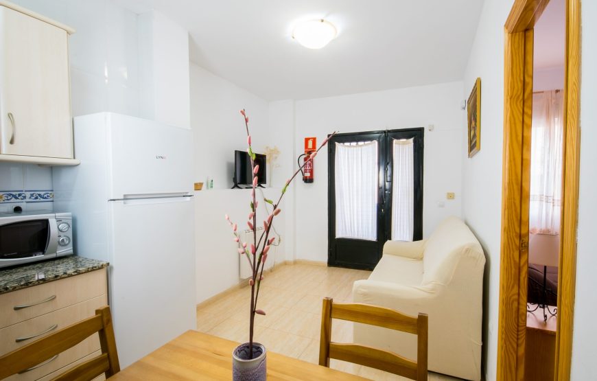 Apartamento Benafer planta baja