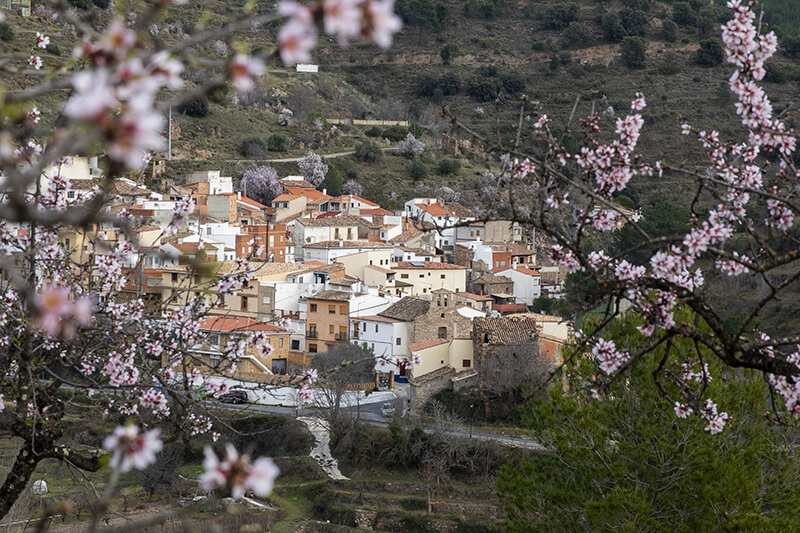 Higueras Castellón