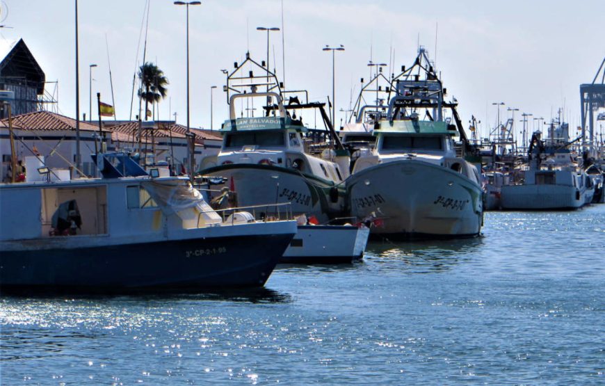 Tour por el Grao de Castellón